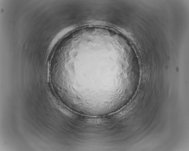 X0000081271223200701251554