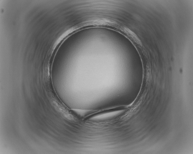 X0000081271226200701251554