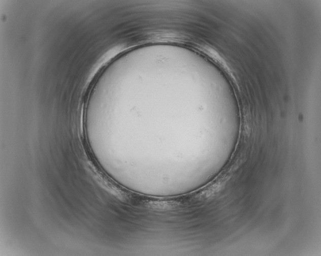 X0000081271227200701251554