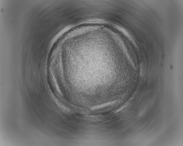 X0000081271229200701251554