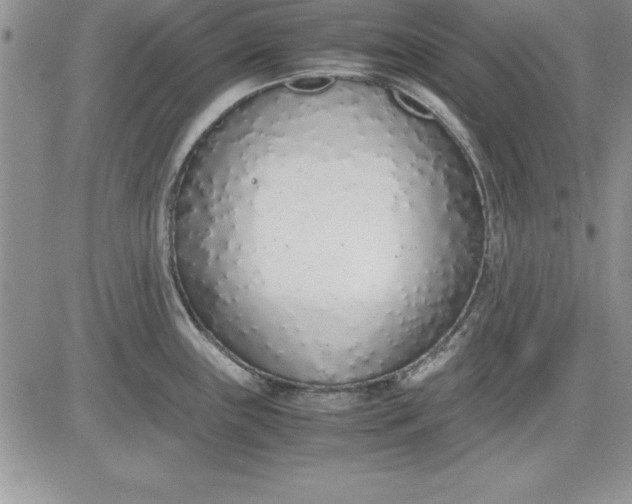 X0000081271243200701251555