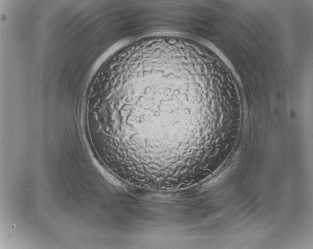 X0000081271245200701251555