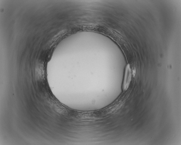 X0000081271252200701251554
