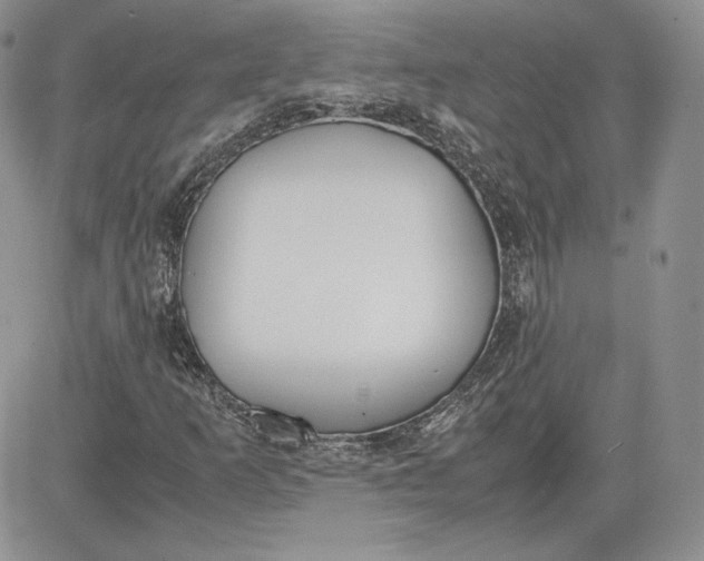 X0000081271253200701251554