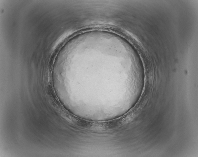 X0000081271267200701251554