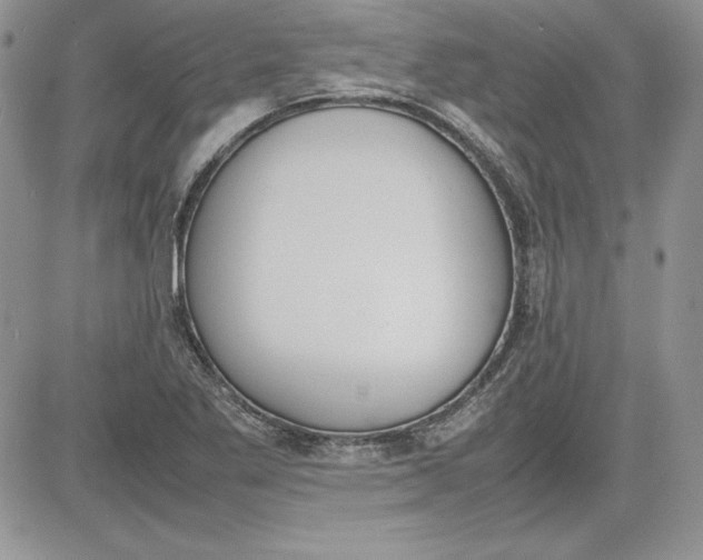 X0000081271269200701251554