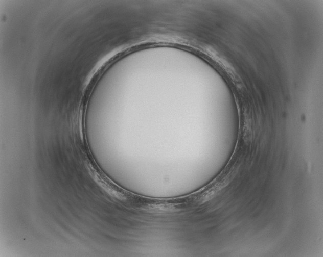 X0000081271272200701251554