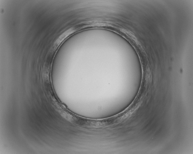 X0000081271273200701251554