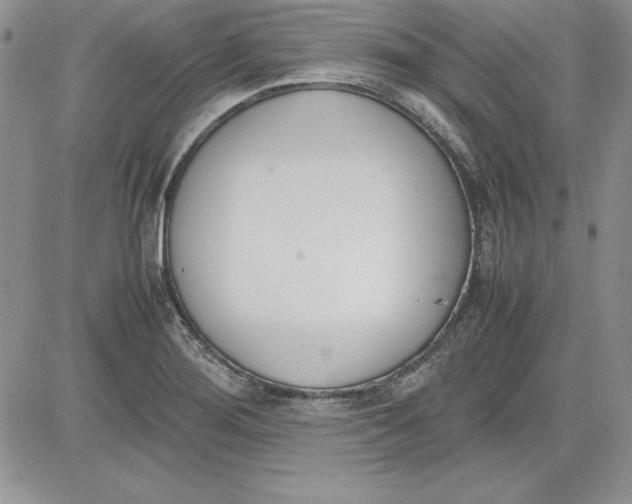 X0000081271276200701251553