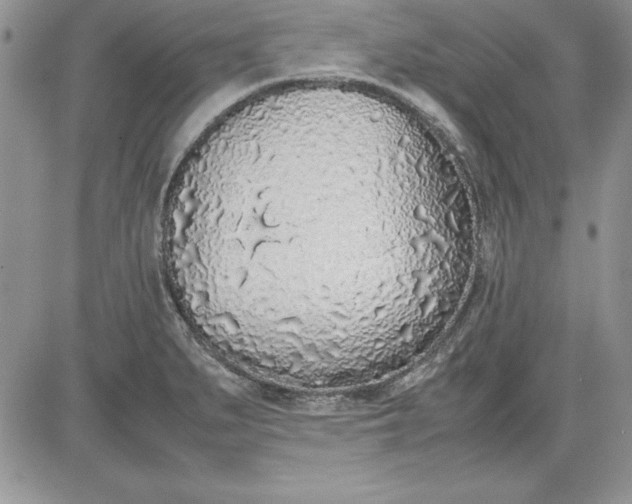 X0000081271279200701251553