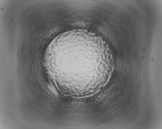 X0000081271297200701251552