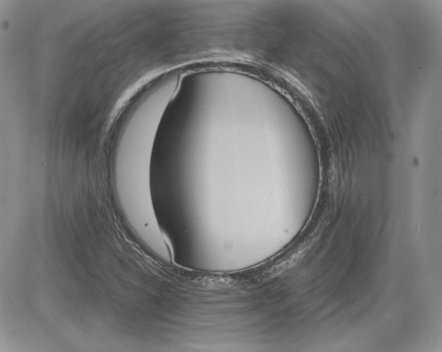 X0000081271310200701251553