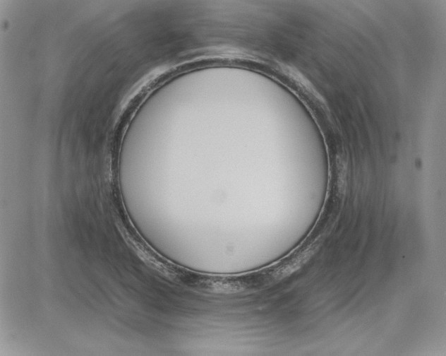 X0000081271318200701251553