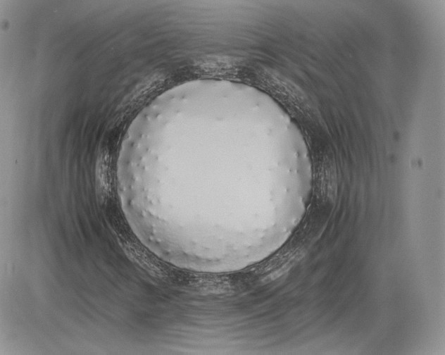 X0000081271346200701251552