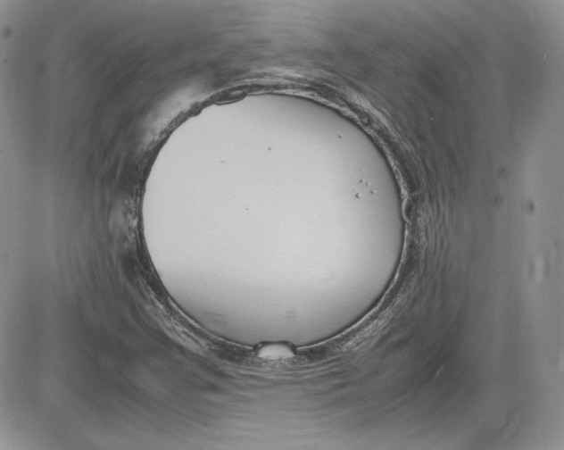 X0000081271355200701251552