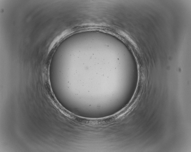 X0000081271357200701251552