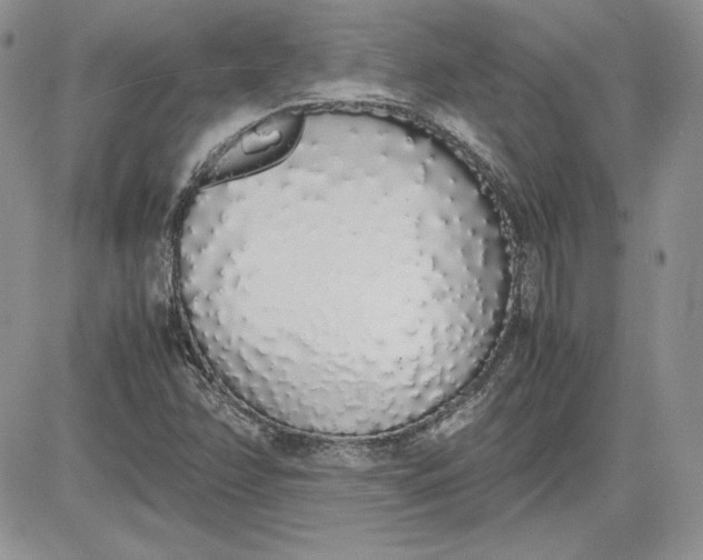 X0000081271358200701251552