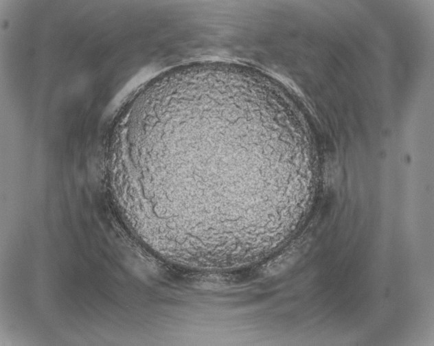 X0000081271359200701251552