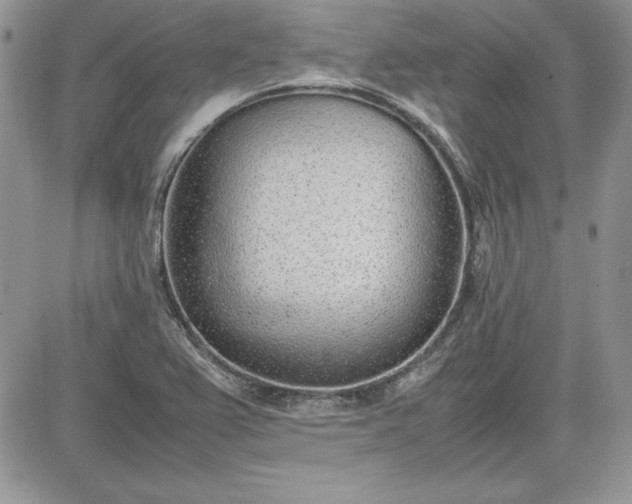 X0000081271367200701251552