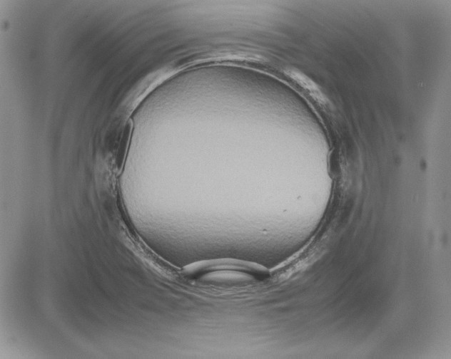 X0000081271369200701251552