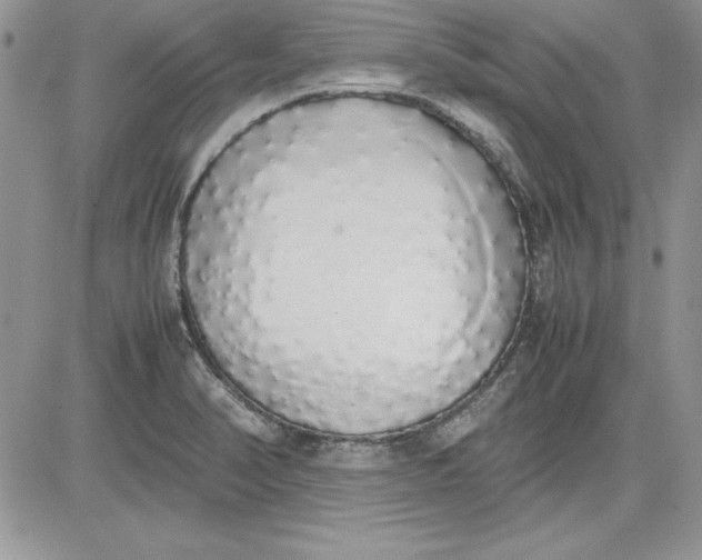 X0000081271374200701251552