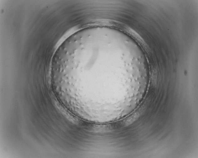 X0000081271378200701251552