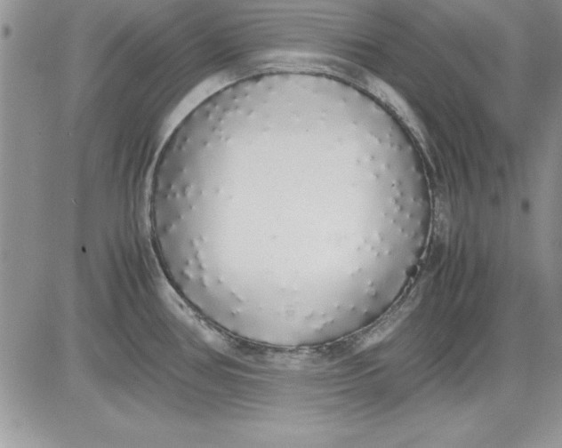 X0000081271386200701251552