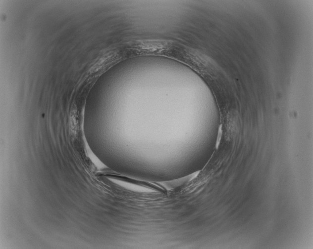 X0000081271394200701251551