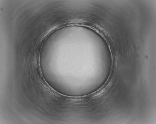 X0000081271401200701251551