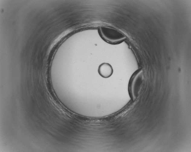 X0000081271410200701251551
