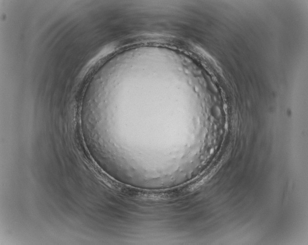 X0000081271411200701251551