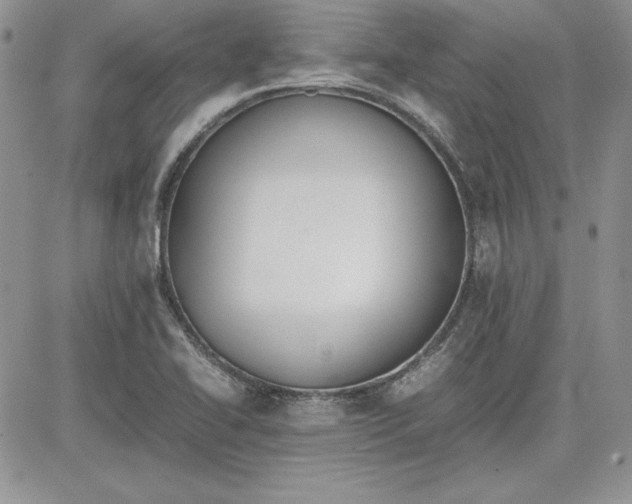 X0000081271414200701251551