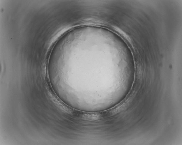 X0000081271415200701251551