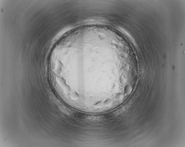 X0000081271419200701251551
