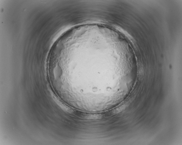 X0000081271423200701251551