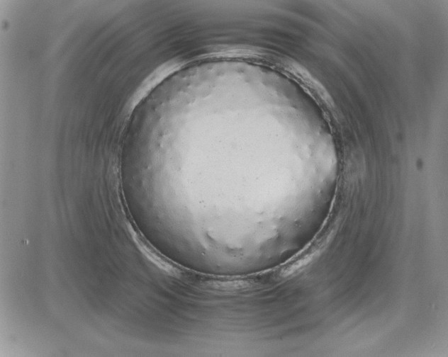 X0000081271425200701251551