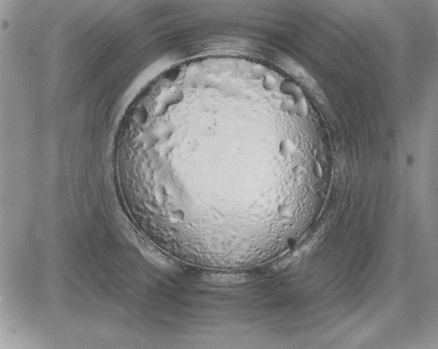 X0000081271427200701251551