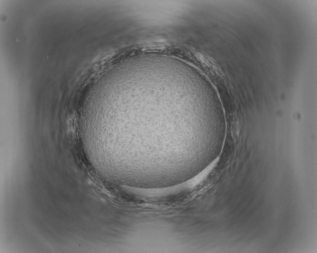 X0000081271445200701251551
