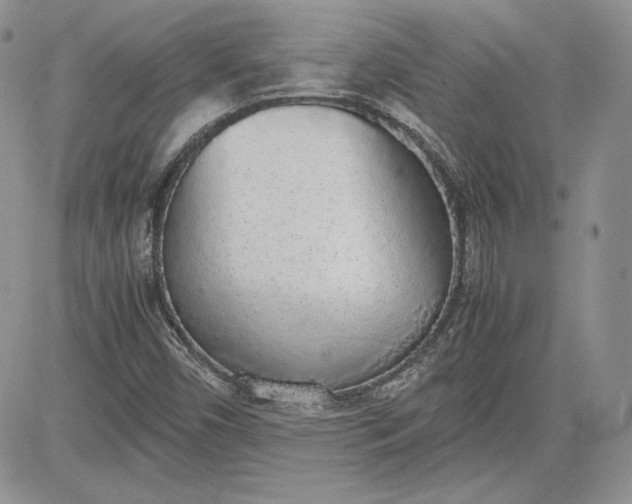 X0000081271450200701251551