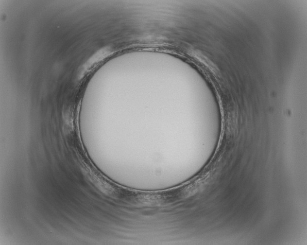 X0000081271451200701251551