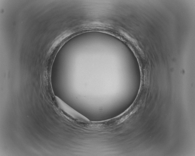 X0000081271453200701251551