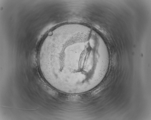 X0000081271454200701251551