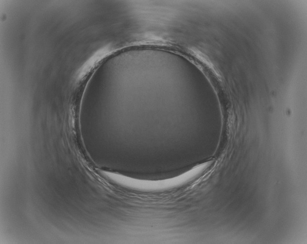 X0000081271455200701251551
