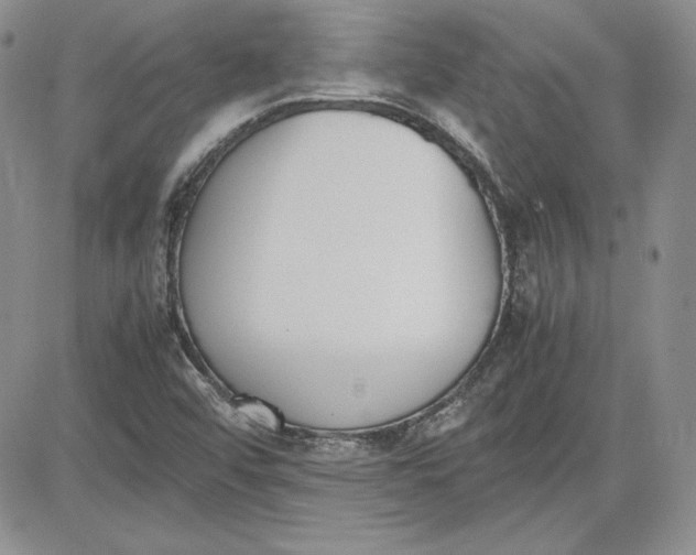 X0000081271456200701251551