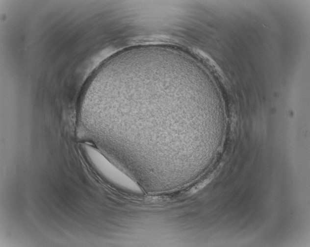 X0000081271457200701251551