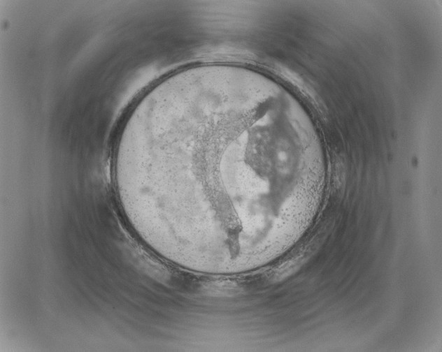 X0000081271462200701251550