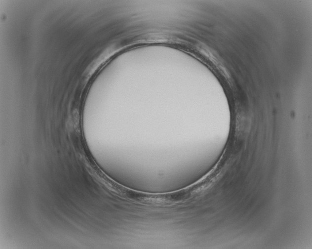 X0000081271465200701251550