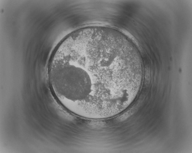 X0000081271466200701251550