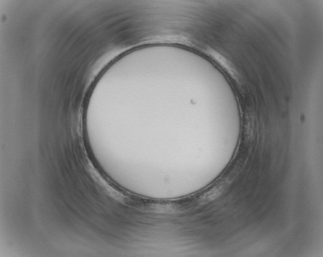 X0000081271468200701251550