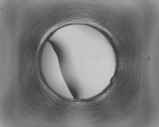 X0000081271506200701251550